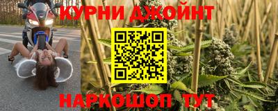 мяу мяу мука Нальчик