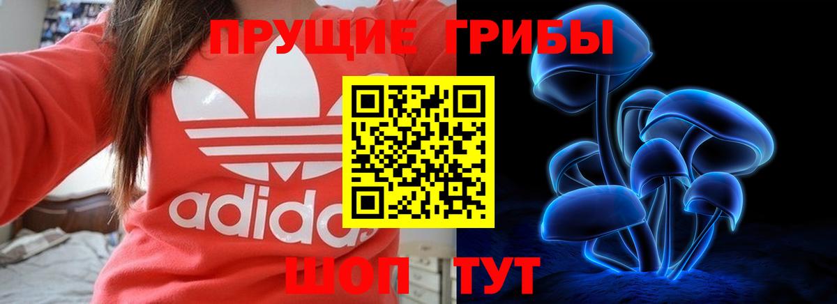 Галлюциногенные грибы MAGIC MUSHROOMS Реж
