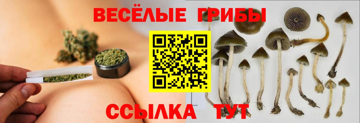 Псилоцибиновые грибы MAGIC MUSHROOMS  Вход с VPN  Реж  где купить наркоту  Псилоцибиновые грибы Psilocybe 